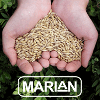 MarianEnvironmentallyFriendly Hands Holding Seeds