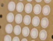Venting Discs