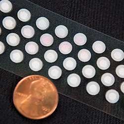 Micro-sized Filters Micro-sized Filters